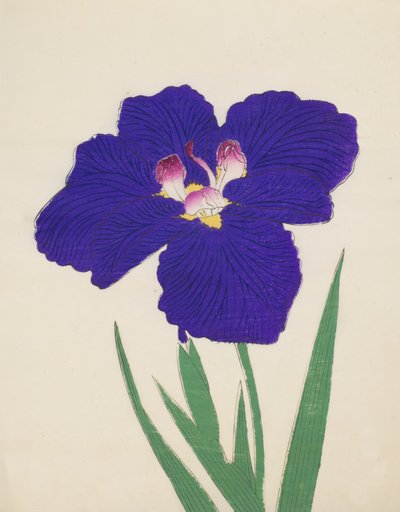 Shira-No-Tamoto, No. 49 by Japanese School